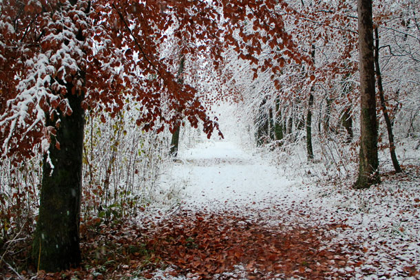 Winter walk | Canon EOS M with 18-55mm F3.5-5.6