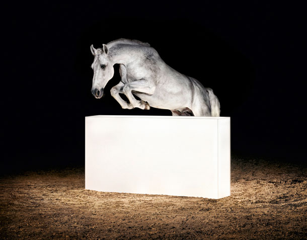 Horse | Gian Paul Lozza