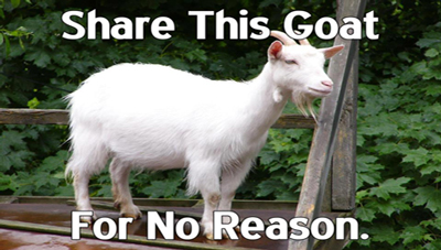 Why not share a goat.