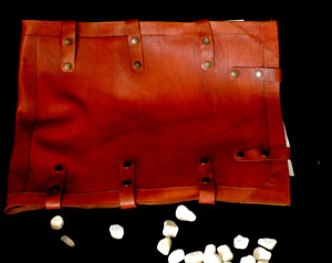 Custom-made Billingham-style carry bag for the portfolio. | David Holliday